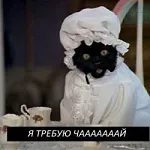 IsyaToksaHamster