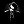 OnEgIN