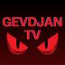 GEVDJAN_TV