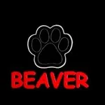 Beaver