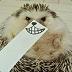 Angry Hedgehog