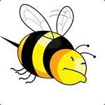 \benjjamin