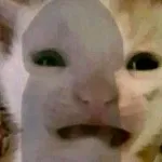 ЗАГЛОТЫШ