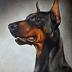 Doberman39rus