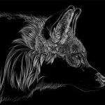 Black_Fox