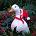 Lonely Goose:33♡