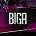 Профиль Biga