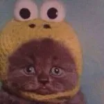 Халяльный Свин