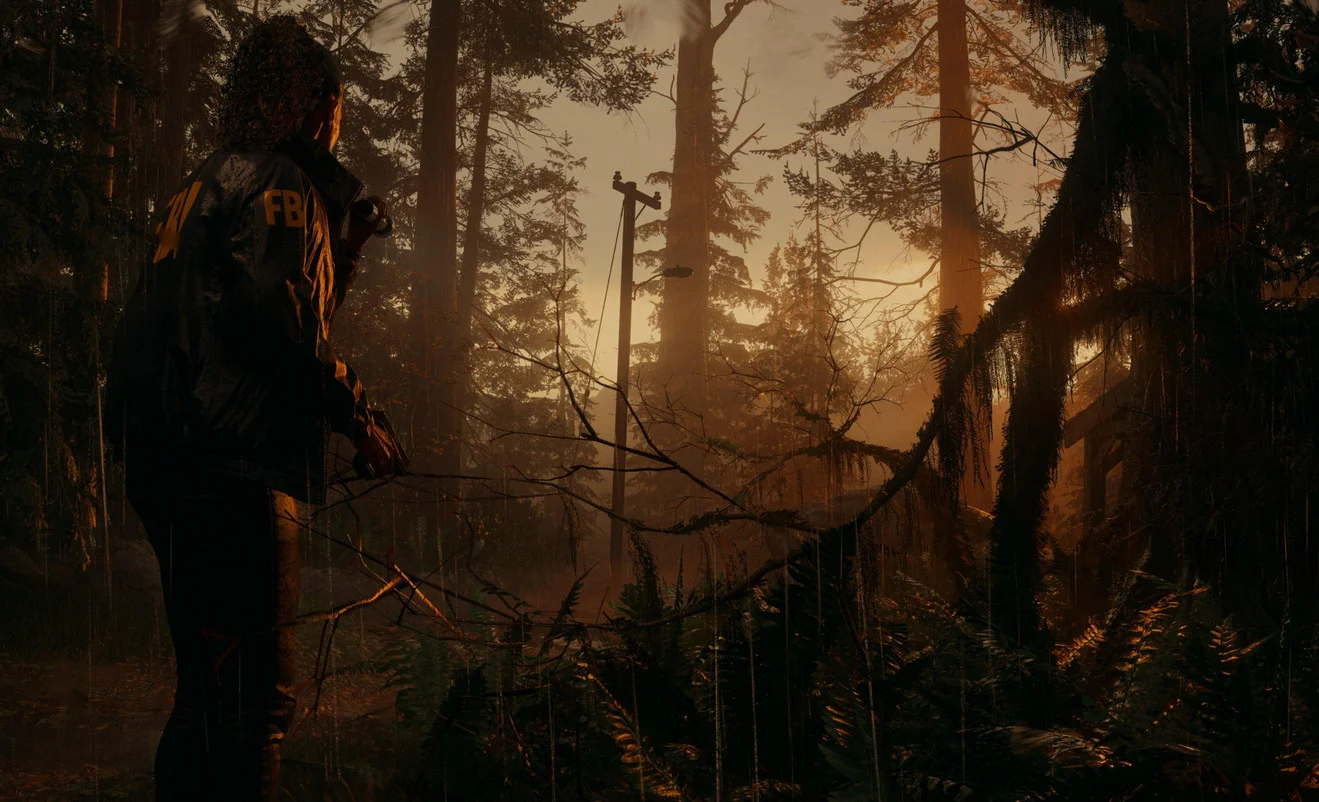 Alan wake steam русский фото 71