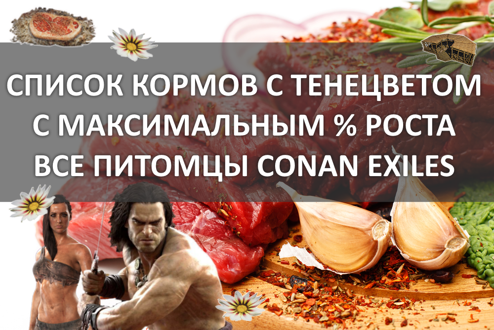 Conan exiles чем кормить. Сырое жилистое мясо с тенецветом Conan Exiles. Тенецвет Conan Exiles. Conan Exiles сырое сочное мясо с тенецветом. Экзотическое мясо с тенецветом Conan Exiles.