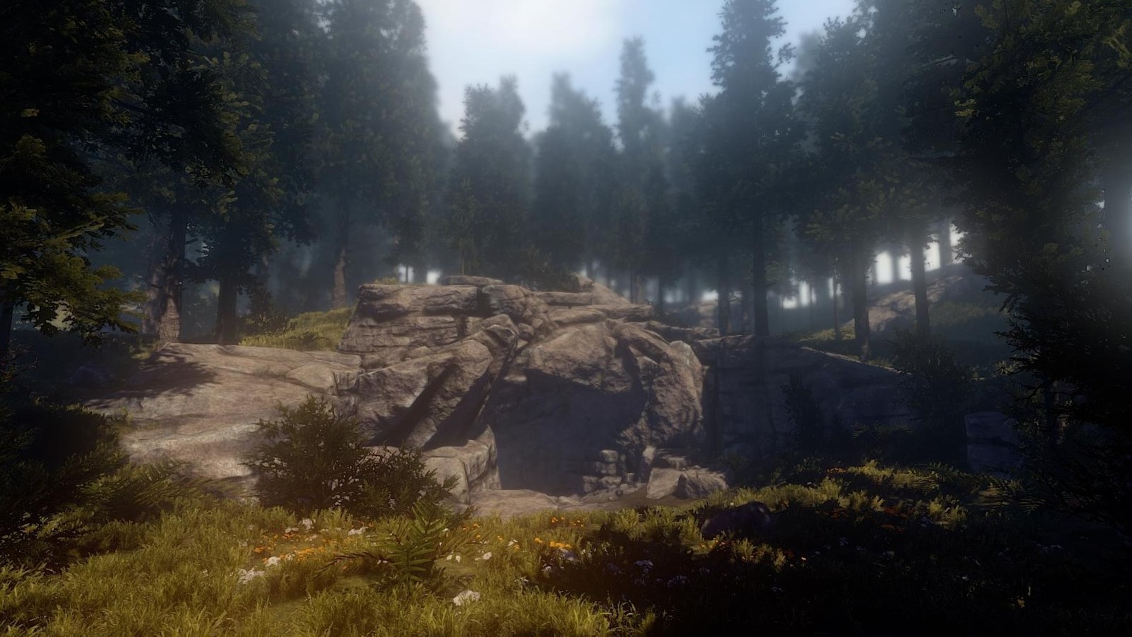 Rust или forest фото 10