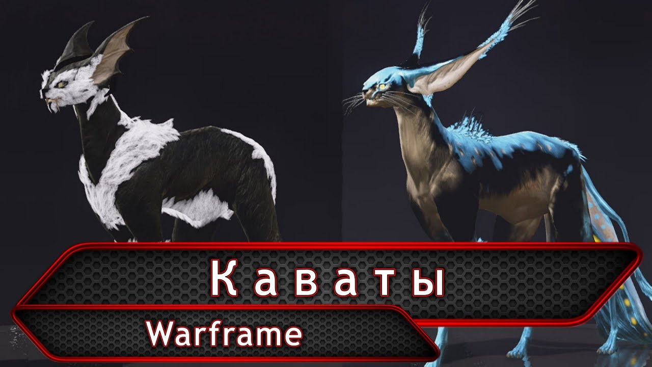 Васка Кават в Warframe: Как его вырастить?