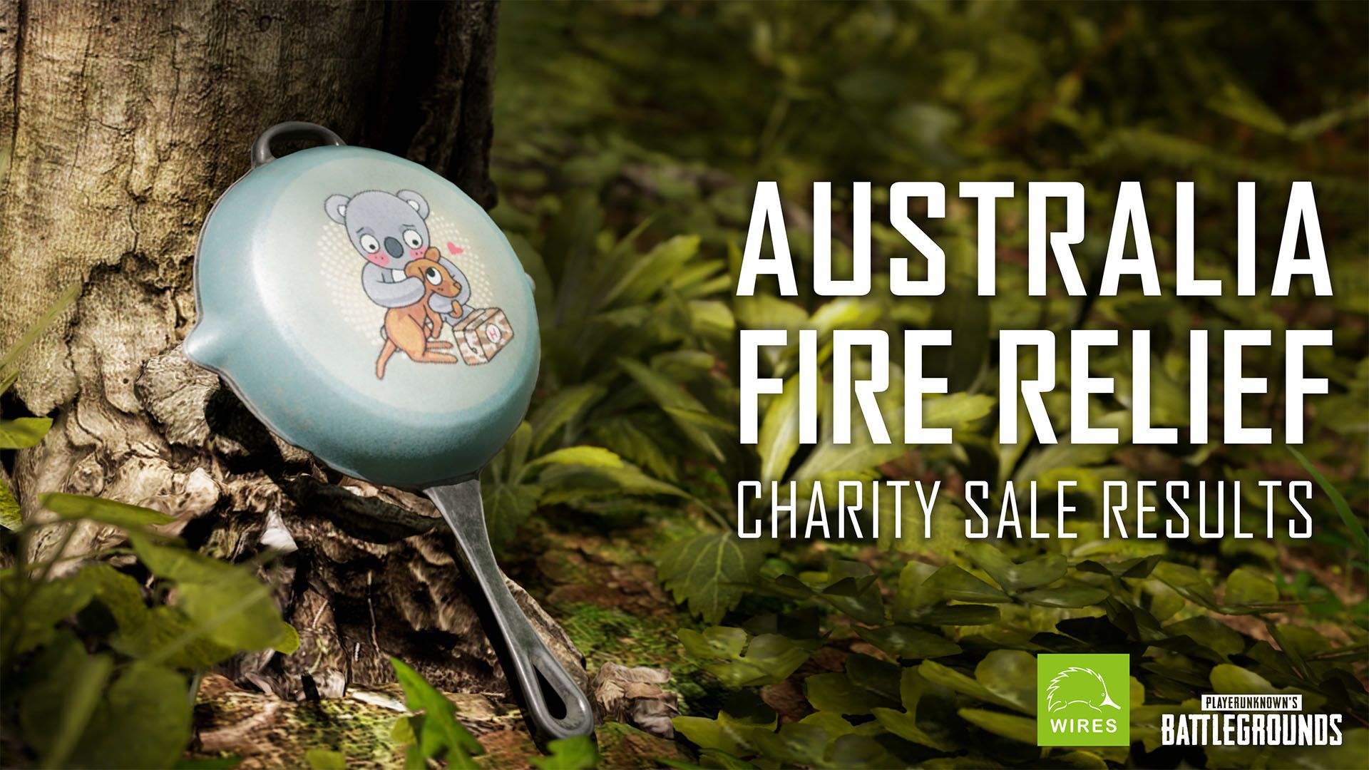 Результаты благотворительной распродажи Fire Fire Relief в Австралии
