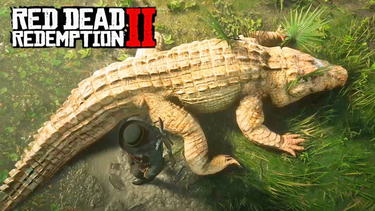 Легендарный аллигатор в Red Dead Redemption 2: Гайд по охоте
