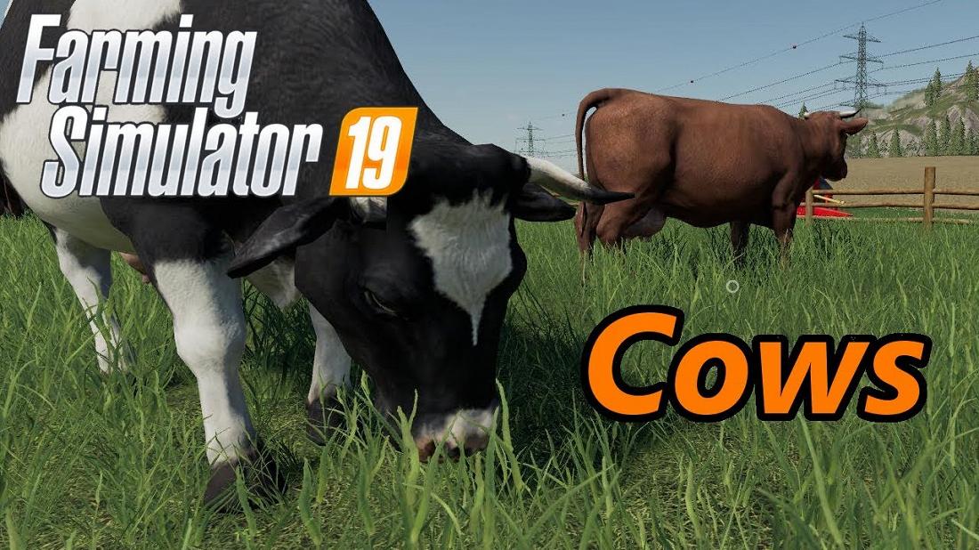 Животноводство в Farming Simulator 19: Как разводить коров?