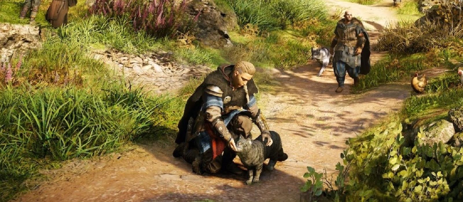 Кот-рейдер в Assassin's Creed: Valhalla - Как найти кота на свой драккар?