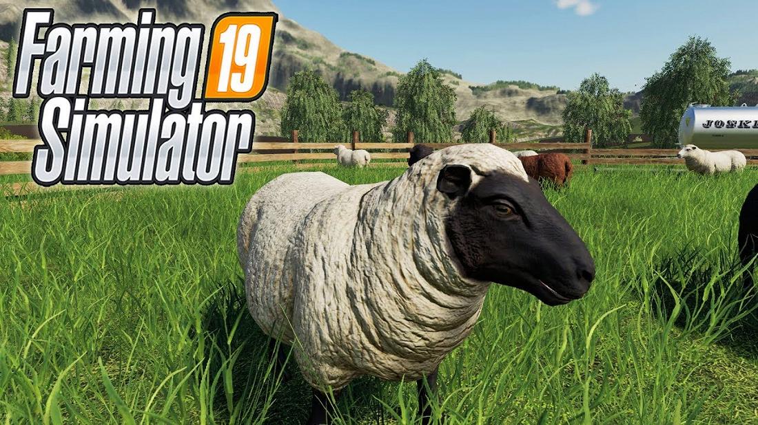 Овцы в Farming Simulator 19: Как их разводить?