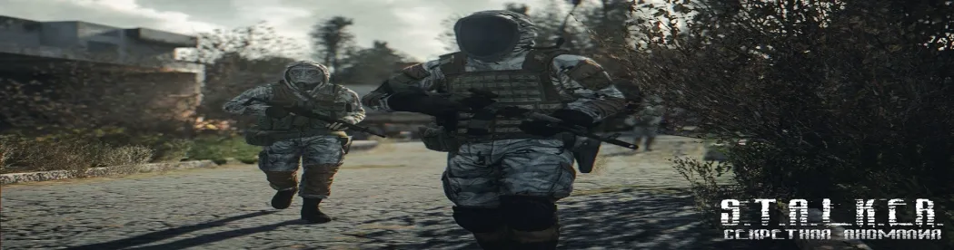 STALKER Secret Anomaly MMO