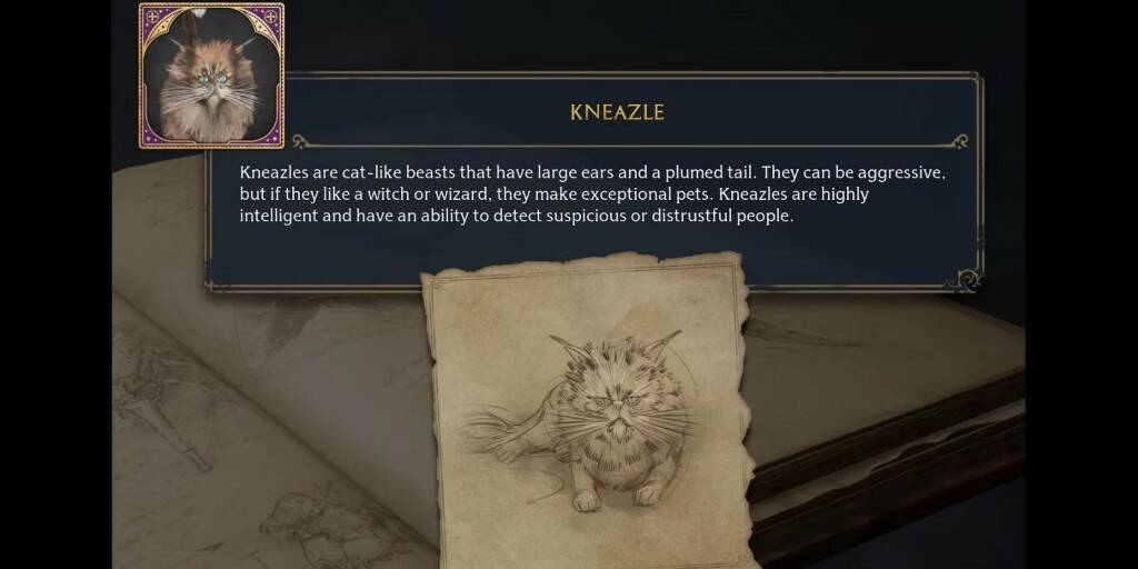 Где найти Kneazle в Hogwarts Legacy