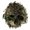 Обзор The Forest