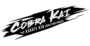 Обзор Cobra Kai: The Karate Kid Saga Continues