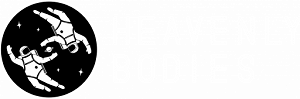 Обзор Heavenly Bodies