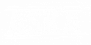 Обзор ASKA