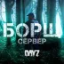 Сервер [RU] БОРЩ CASUAL | PVP | 3PP | WIPE 23/12 |