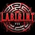 Сервер [L.A.B.I.R.I.N.T] Nasdara PvE