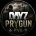 Сервер PRYGUN PVE