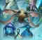 Обзор Stellaris: Aquatics Species Pack