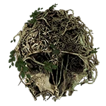 The Forest