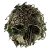 The Forest
