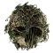 Обзор The Forest