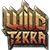 Обзор Wild Terra Online