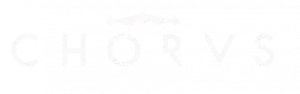 Обзор Chorus