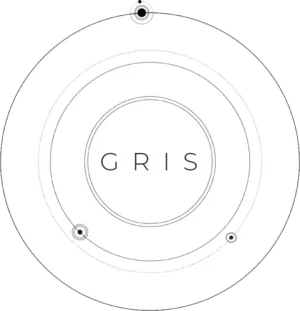 Обзор GRIS