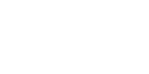 Обзор SOMA