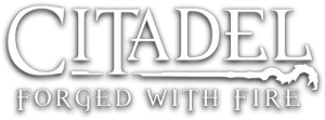 Обзор Citadel: Forged with Fire