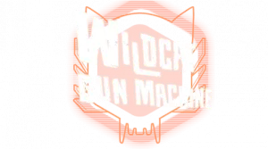 Обзор Wildcat Gun Machine