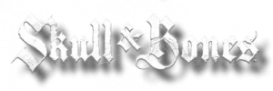 Обзор Skull and Bones