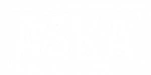 Обзор ASKA