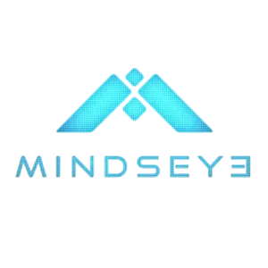 Обзор MindsEye