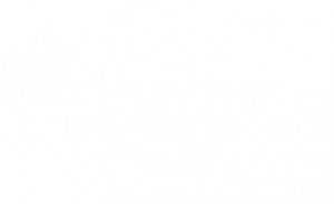 Обзор Kaiserpunk