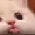 wwpnk