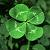 Leprekon