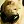 Lisman_79